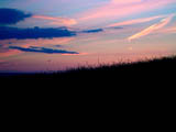 Wittenham Clumps (v)